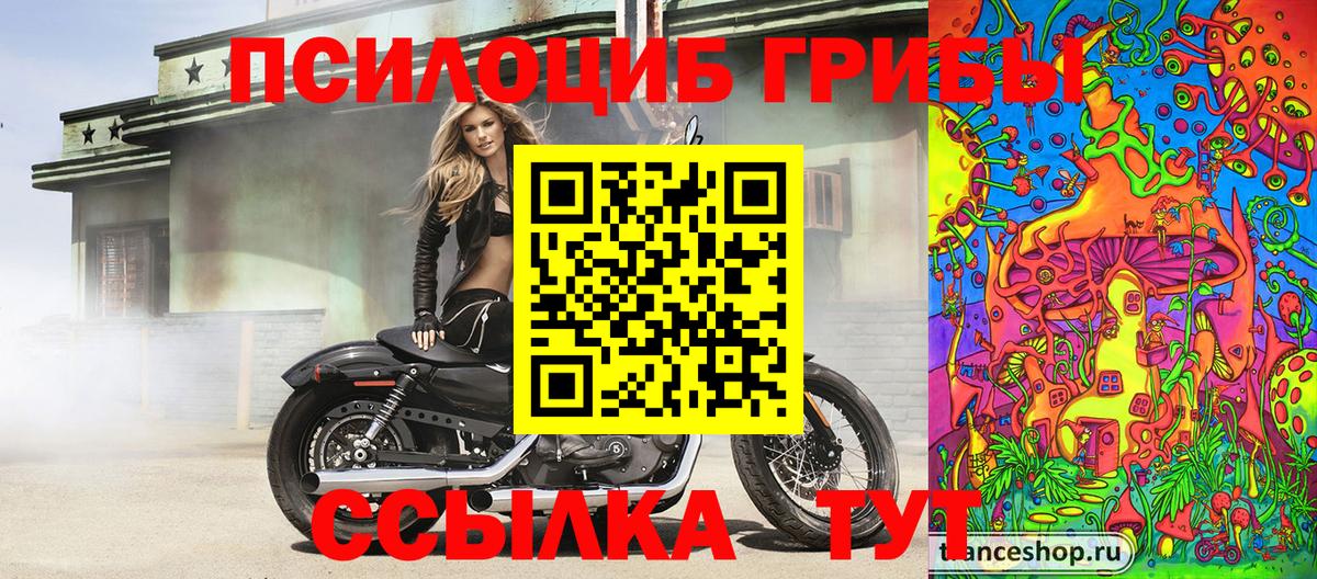Алексин  Галлюциногенные грибы Psilocybine cubensis  дарнет шоп  Галлюциногенные грибы прущие грибы  Вход с VPN 